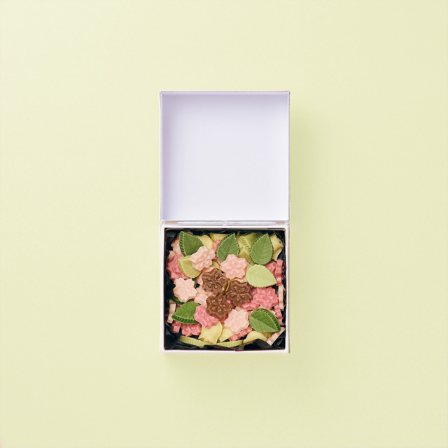 【限定商品】ミニローズ・サクラ（クール便）