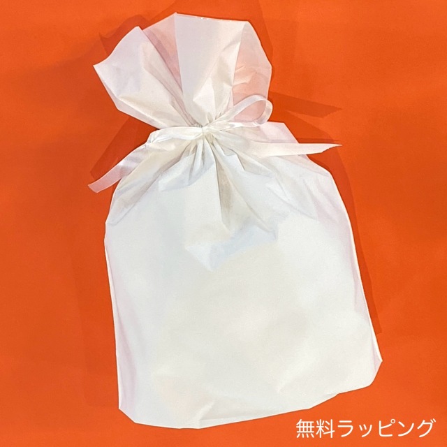 ポケなで　モンスターボール　ラッピング袋つき ラッピングOP 10月発売予定 予約 ポケットモンスター ポケモン ポケな