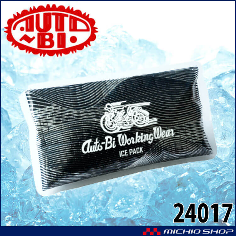 山田辰 オートバイ アイスパック(保冷剤) 単品 24017 