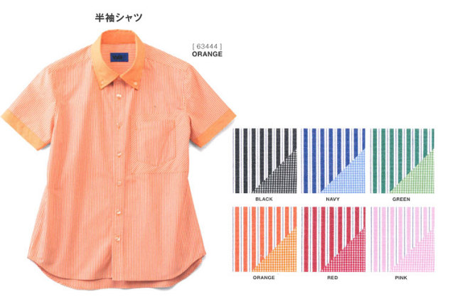 セロリさん専用 幻の限定モデル？】ゼニス 日本限定30本のみメテオライト
