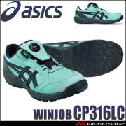[10月中旬入荷先行予約] 安全靴 アシックス asics スニーカー ウィンジョブ CP316 BOA LC ローカット ワーキングシューズ セーフティシューズ 2026年秋冬新作