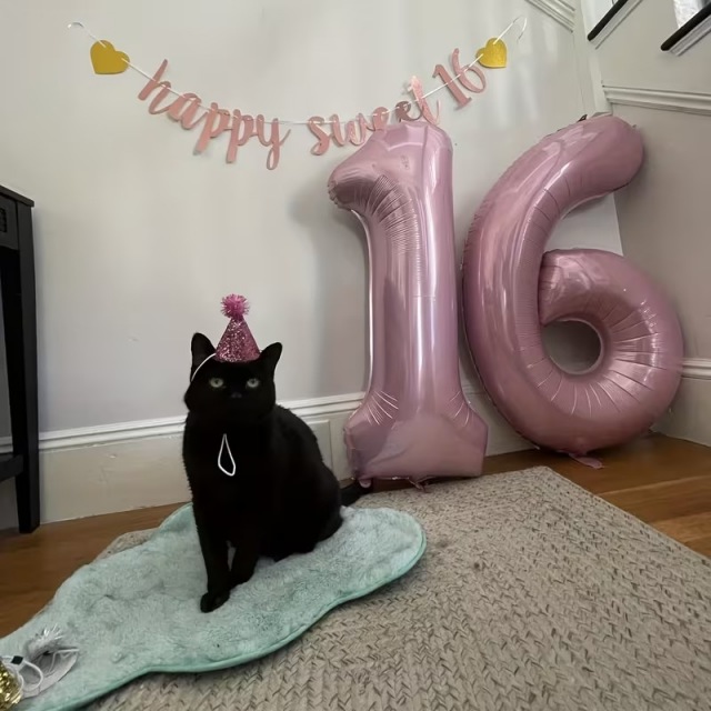 ハッピースウィート16 バースデーバナー