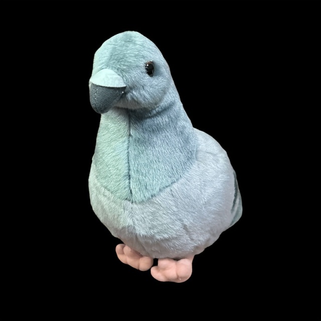 リアルピジョンぬいぐるみ