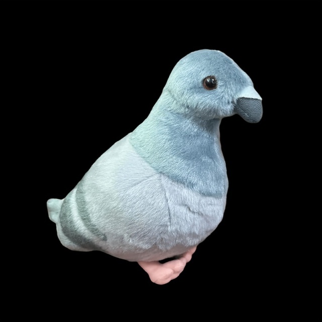 リアルピジョンぬいぐるみ