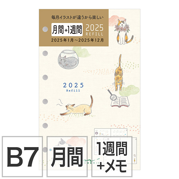 ネコ 6/30まで 価格の安い✿マンチカン ♀ / ペットショップ【かねだい】