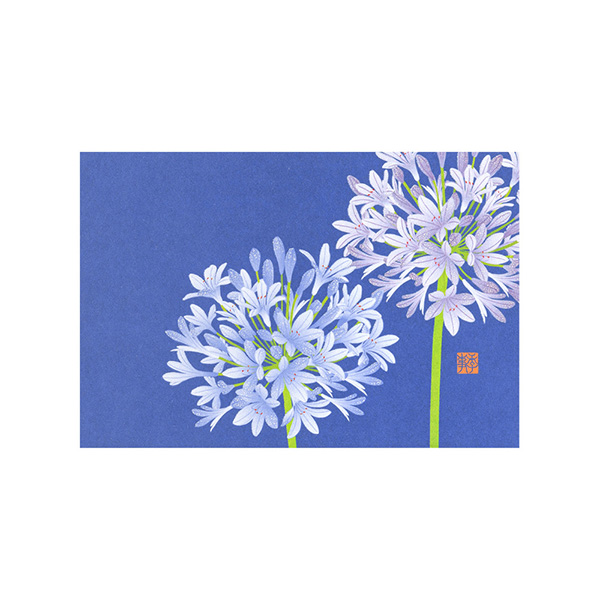 ハガキ/ポストカード｜紙シリーズ｜ポストカード アガパンサス柄