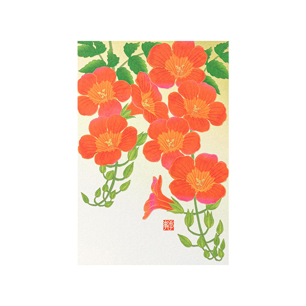 ポストカード ノウゼンカズラ柄(80031006)