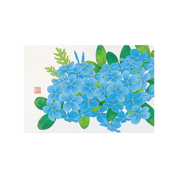 ポストカード ルリマツリ柄(80035006)