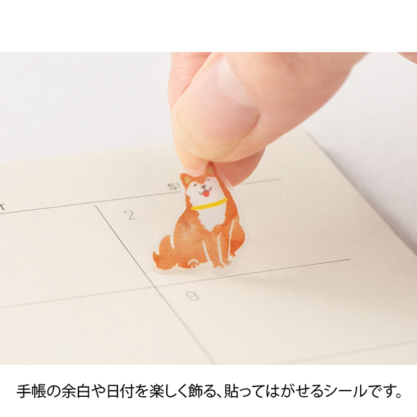 MIDORI Colour Tone PET Sticker - Brown