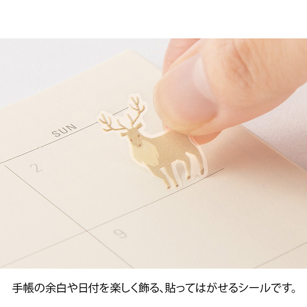 MIDORI Colour Tone PET Sticker - Beige
