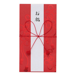 金封283 お祝 茜 結び紐柄