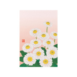 ポストカード デイジー柄(80020006)