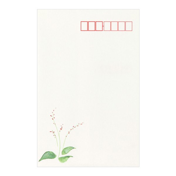 FLOWERS / DIVERSE SYSTEM 未開封 INFO | ANIMUS FLORAL DESIGN