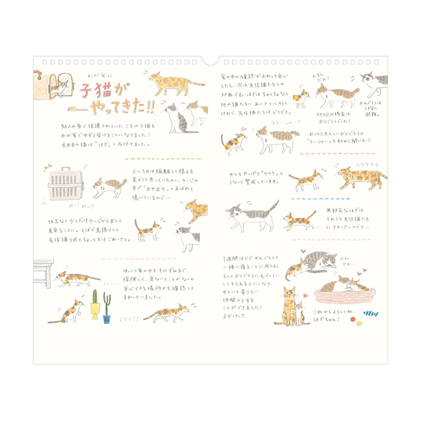 ねこ様 楽天市場】【ワンダフルデーはポイント10倍】【図鑑シリーズ】猫