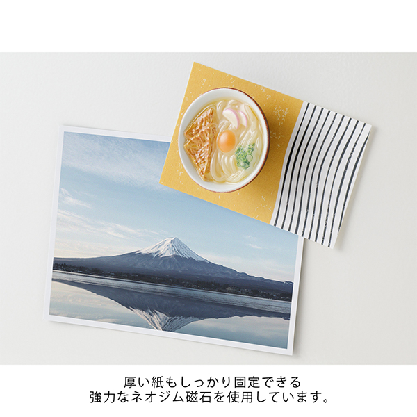 マグネット｜ミニチュアマグネット 1個入 ラさぬきうどん柄(43434006