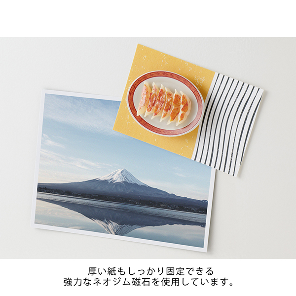 マグネット｜ミニチュアマグネット 1個入 餃子柄(43440006)｜ミドリ