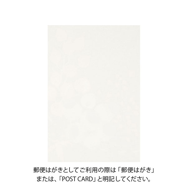 ハガキ/ポストカード｜紙シリーズ｜ポストカード 秋リース柄