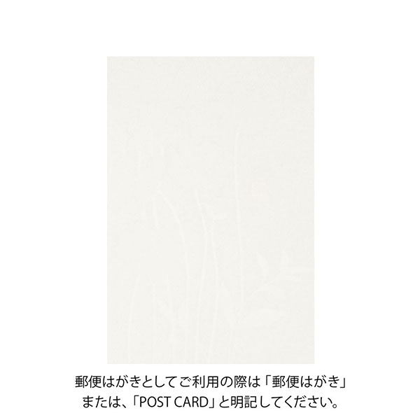 希少 カポヴィッラ　ウヴァ モスカート ダランチョ 2005 ハガキ/ポストカード｜紙シリーズ｜ポストカード ガーベラ柄
