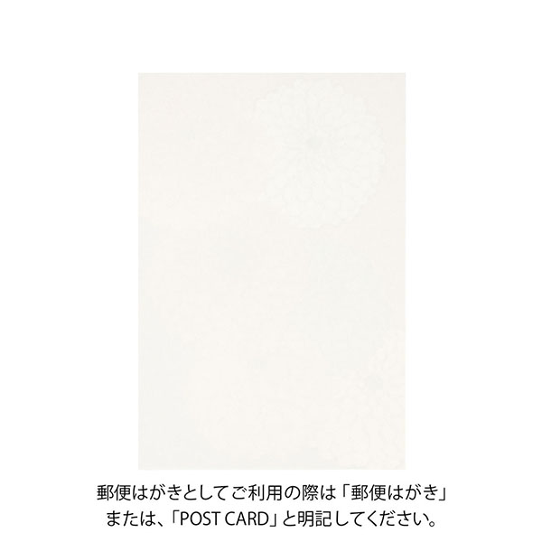 肖戦　最新作　嘉人新旅程ハガキ　ポストカード8枚入り 楽天市場】はがき ポストカード 絵葉書 桜 春 新作 花 和風 季節