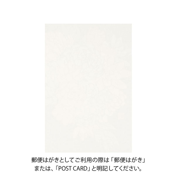 【絶版品】ウィンドミル製　ミリオンカード ハガキ/ポストカード｜紙シリーズ｜ポストカード 秋の多肉植物柄