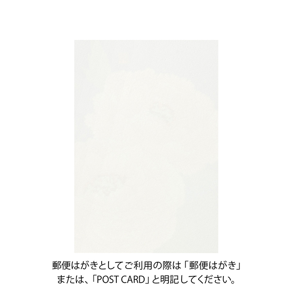 ハガキ/ポストカード｜紙シリーズ｜ポストカード 寒牡丹柄 S2(80010006