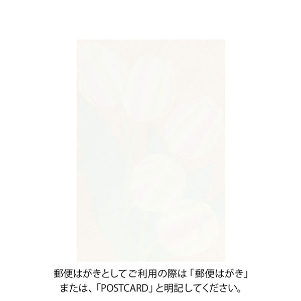 ハガキ/ポストカード｜紙シリーズ｜ポストカード チューリップ柄 S3