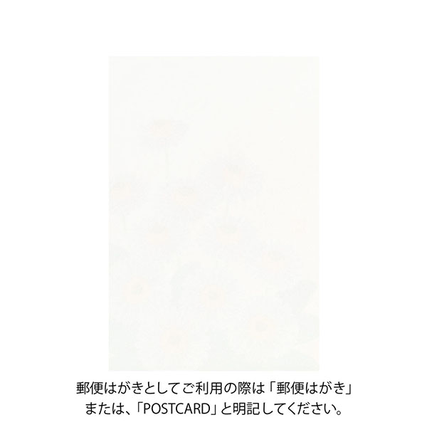 肖戦　最新作　嘉人新旅程ハガキ　ポストカード8枚入り 肖戦 最新作 嘉人新旅程ハガキ ポストカード8枚入り 肖戦