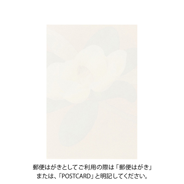 ハガキ/ポストカード｜紙シリーズ｜ポストカード 泰山木柄(80026006
