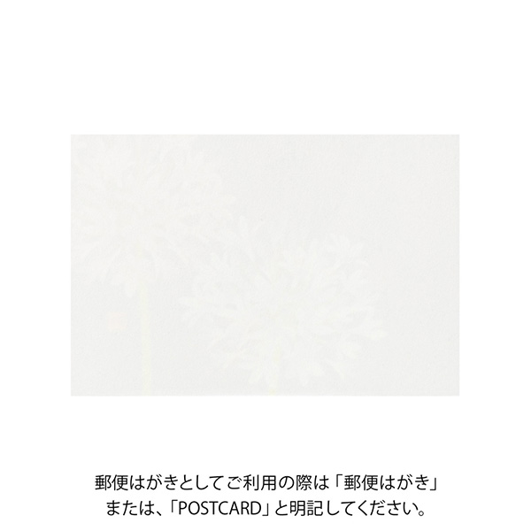ハガキ/ポストカード｜紙シリーズ｜ポストカード アガパンサス柄