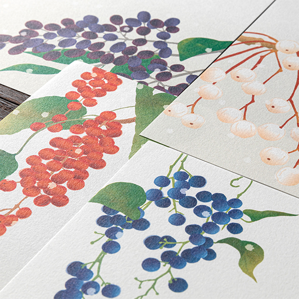 便箋｜紙シリーズ｜便箋 4柄入 冬の実柄(81000006)｜ミドリ