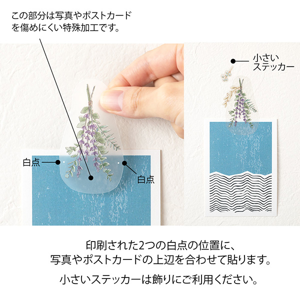 ドライフラワー 壁掛け用葉デザイン はっぱ丸 人気キャラクター 壁掛け