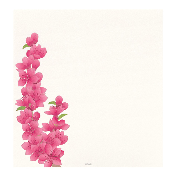 随筆百花苑 第一巻〜第十五巻までの15冊セット 随筆百花苑 第一巻〜第十五巻までの15冊セット