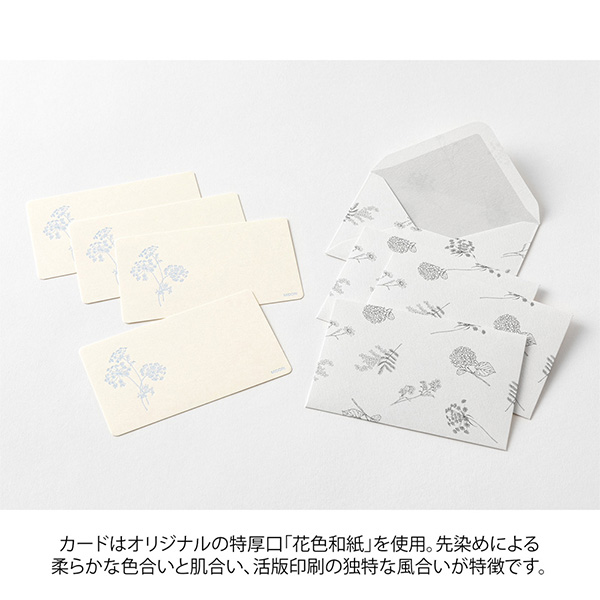 レターセット｜花色和紙 ミニカードセット 白(88788006)｜ミドリ