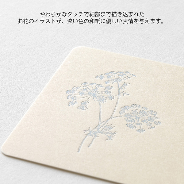 レターセット｜花色和紙 ミニカードセット 白(88788006)｜ミドリ