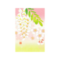 ポストカード 桜とはりえんじゅ柄(88641006)