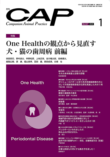 ｃａｐ 年1月号 株式会社 緑書房