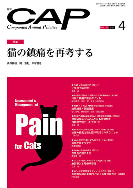 ＣＡＰ　2020年4月号