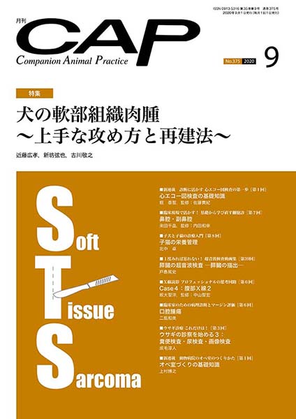 ＣＡＰ　2020年9月号