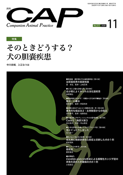 ＣＡＰ　2020年11月号