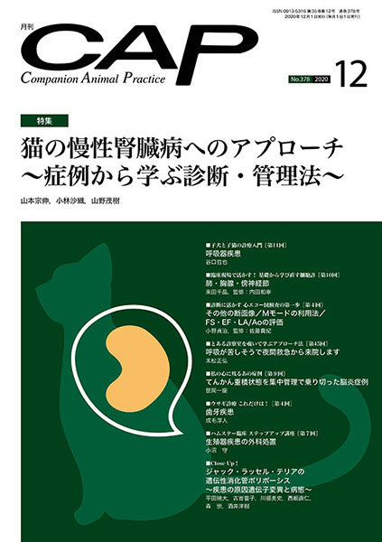 ＣＡＰ　2020年12月号