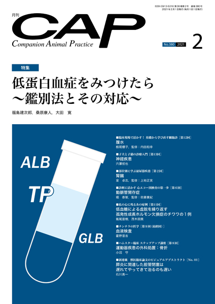 ＣＡＰ　2021年2月号