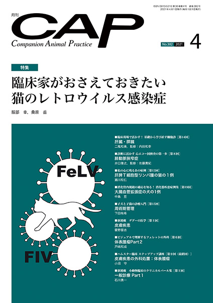 ＣＡＰ　2021年4月号