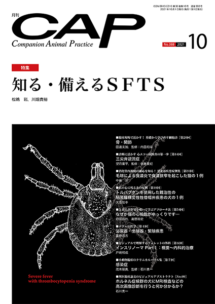 裁断済　CAP 獣医学雑誌　2019.5-2020.4　12冊 獣医学 雑誌の商品一覧 | 看護・医学・医療 雑誌 | 雑誌/定期