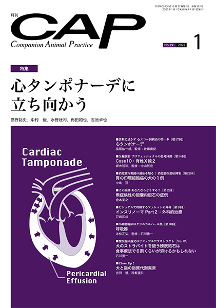ＣＡＰ　2022年1月号