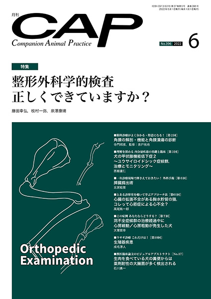CAP 2022年6月号 株式会社 緑書房