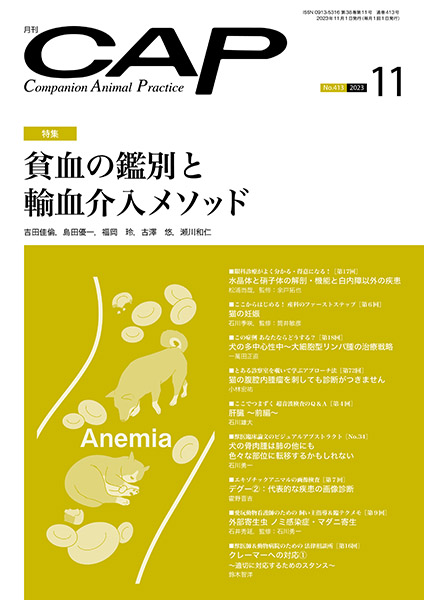 犬と猫の輸血 711oe4bUyOL.jpg
