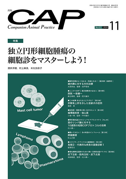 裁断済　CAP 獣医学雑誌　2019.5-2020.4　12冊 Surgeon（サージャン）｜定期購読 - 雑誌のFujisan