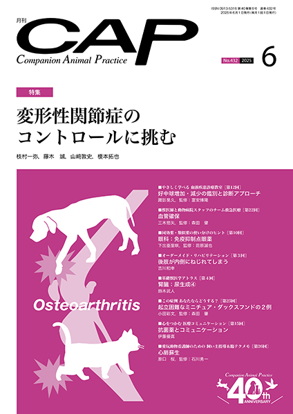 ＣＡＰ　2025年6月号