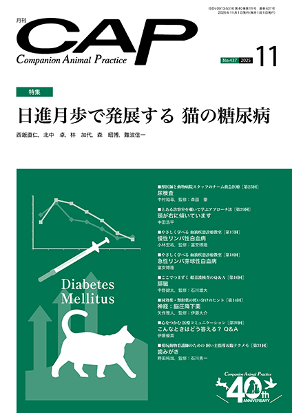 ＣＡＰ　2025年11月号
