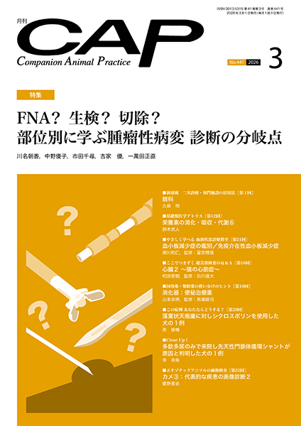 ＣＡＰ　2026年3月号